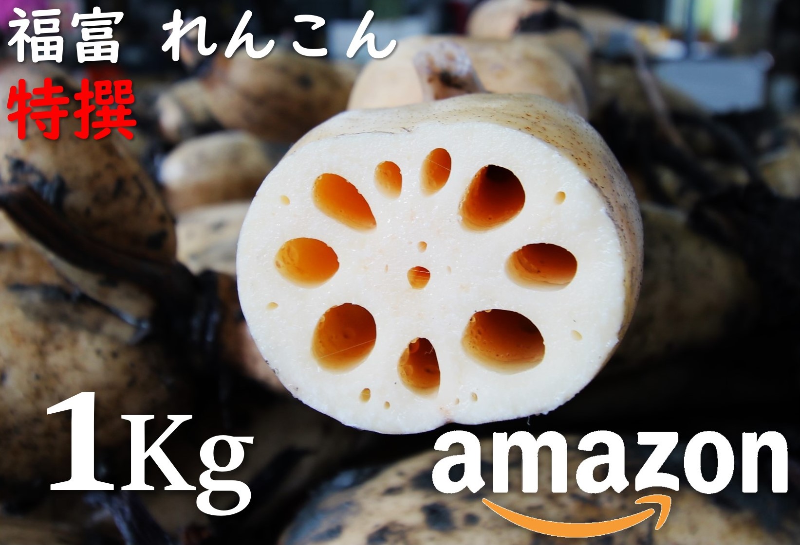 福富 れんこん 特撰 1Kg