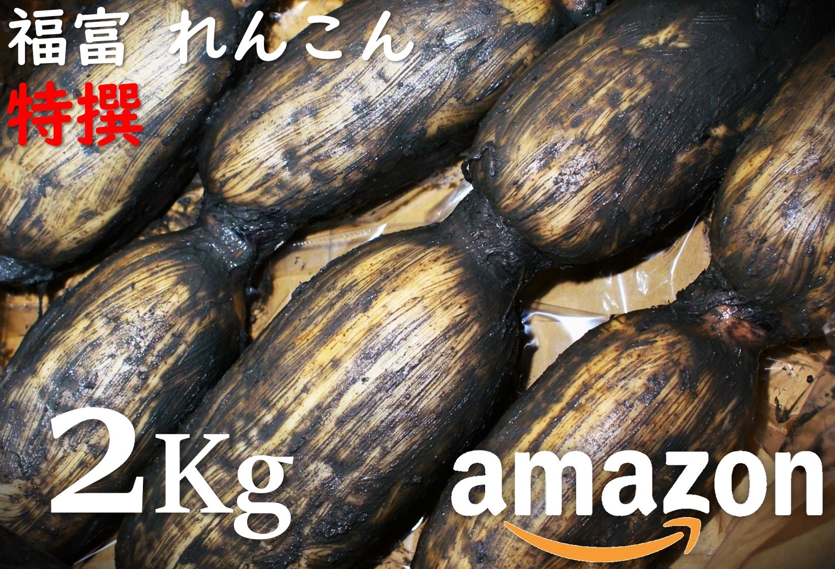 福富 れんこん 特撰 2Kg