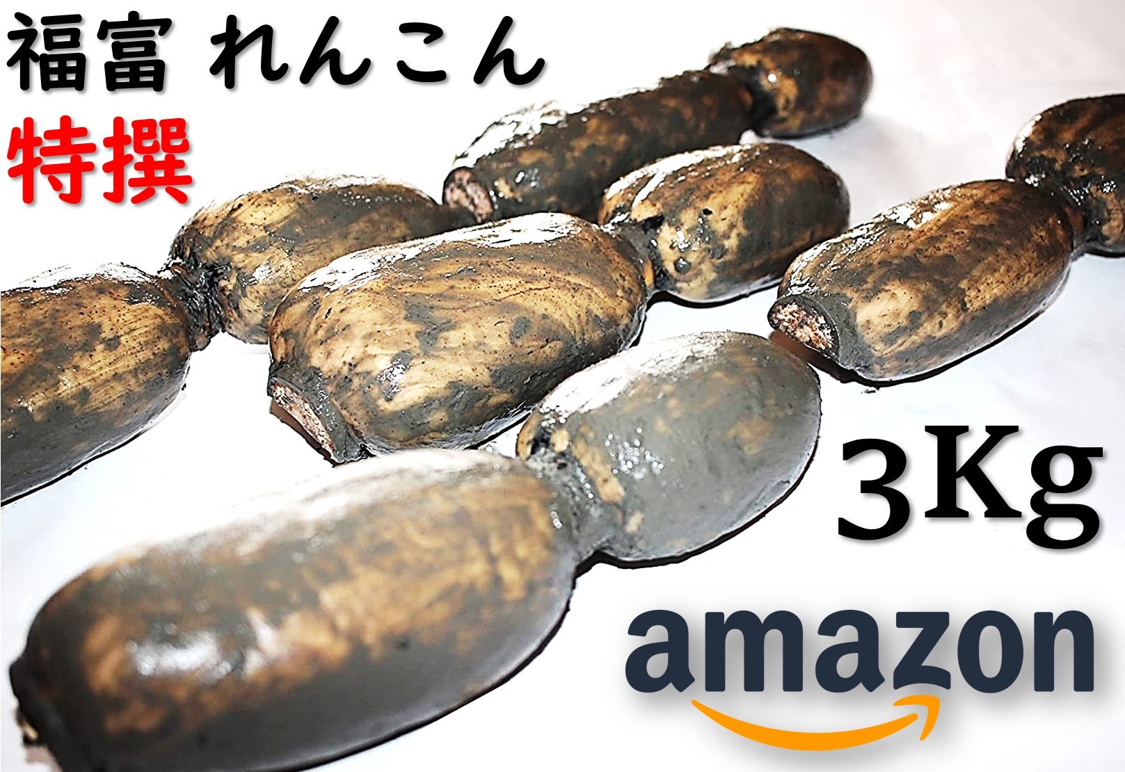 福富 れんこん 特撰 3Kg